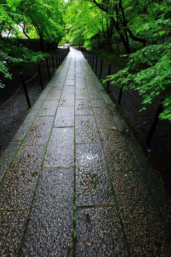 花园越“土”才越有味道！火狐电竞(图7)