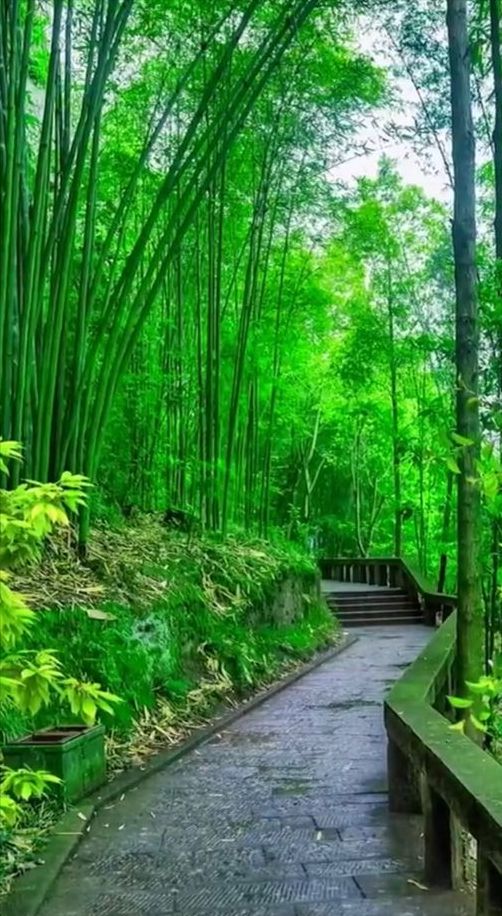 花园越“土”才越有味道！火狐电竞(图6)