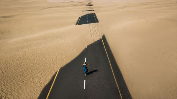 火狐电竞道路绿化灌木(武汉用于道路绿化的最常见的树种是什么)(图2)