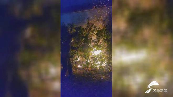 新时代美德山东｜路边绿化苗木突然起火 聊城小学教师变身“灭火侠”火狐电竞(图1)