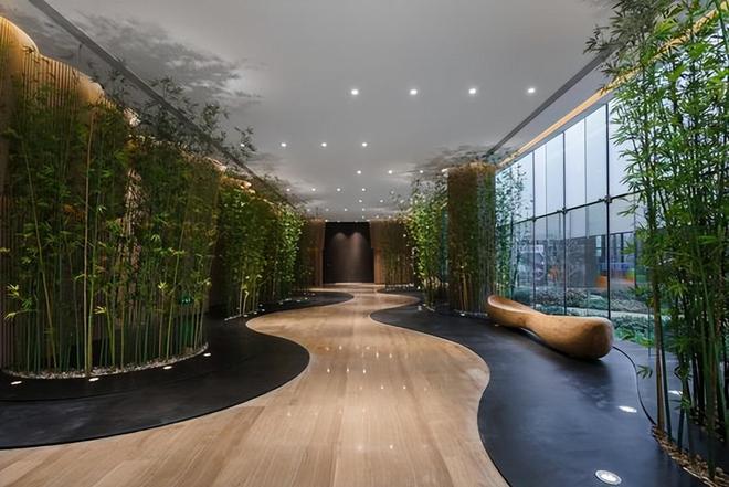 想要打造室内花园？试试这三种方法！火狐电竞(图4)